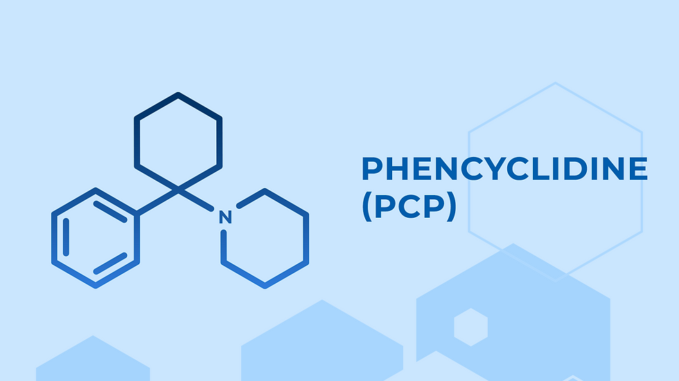 Agonists of the phencyclidine